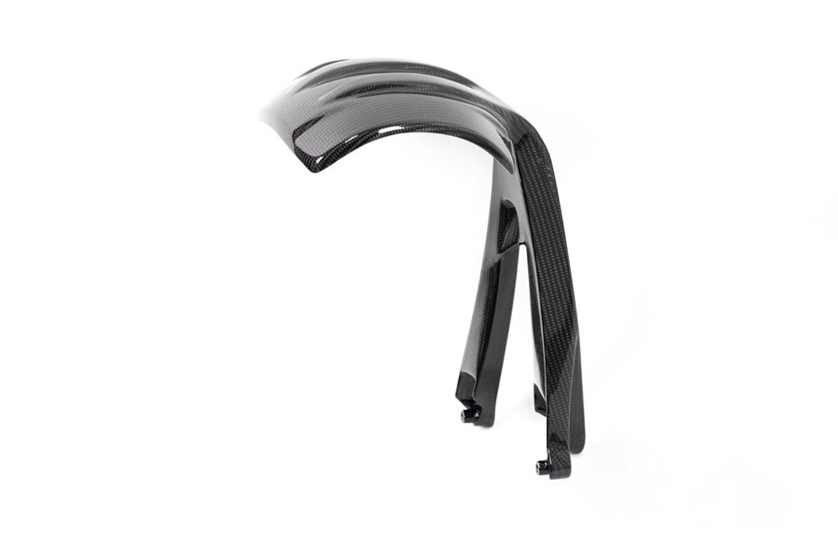 Ilmberger Splash guard (Rear) R 1250 GS - Carbon