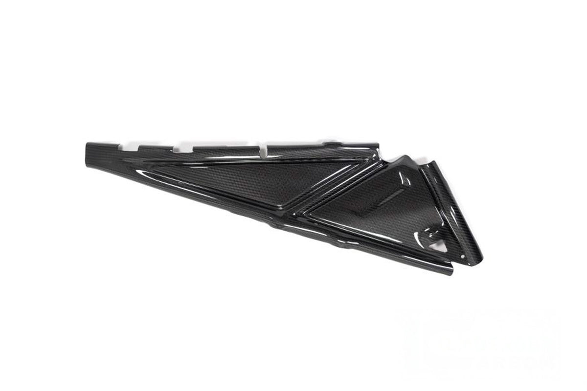 Ilmberger Rear frame cover (Right) R 1250 GS + Adventure - Carbon