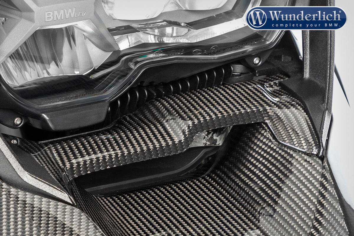 Ilmberger Airflow beneath oil cooler R 1250 GS - Carbon