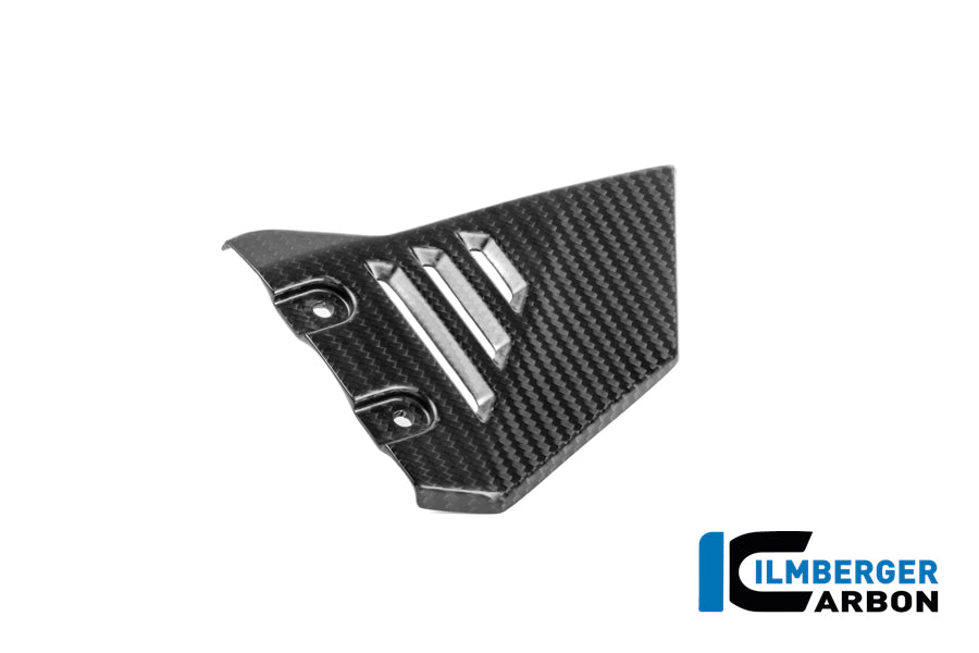 Ilmberger Front Triangle Cover for Rear Frame R 1300 GS Adventure image 1