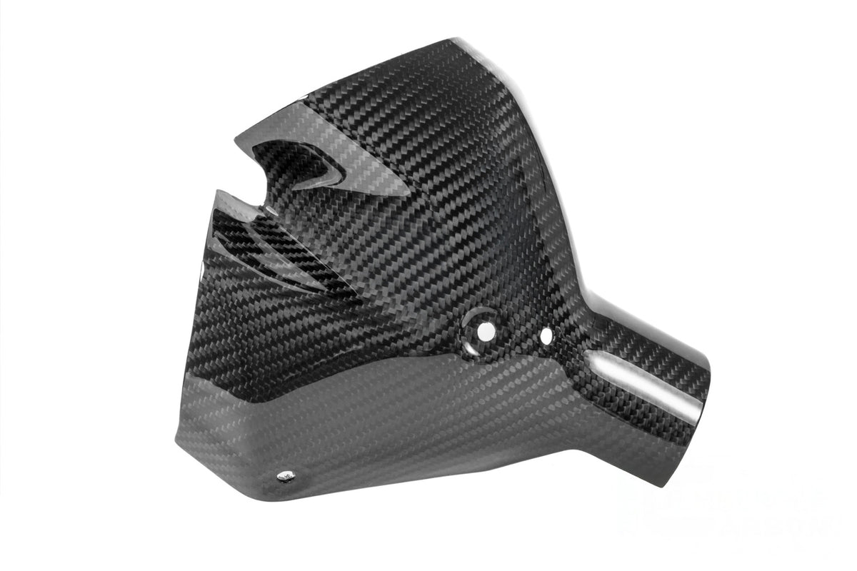 Ilmberger Exhaust heat shield (Front) R 1300 R + RS - Carbon