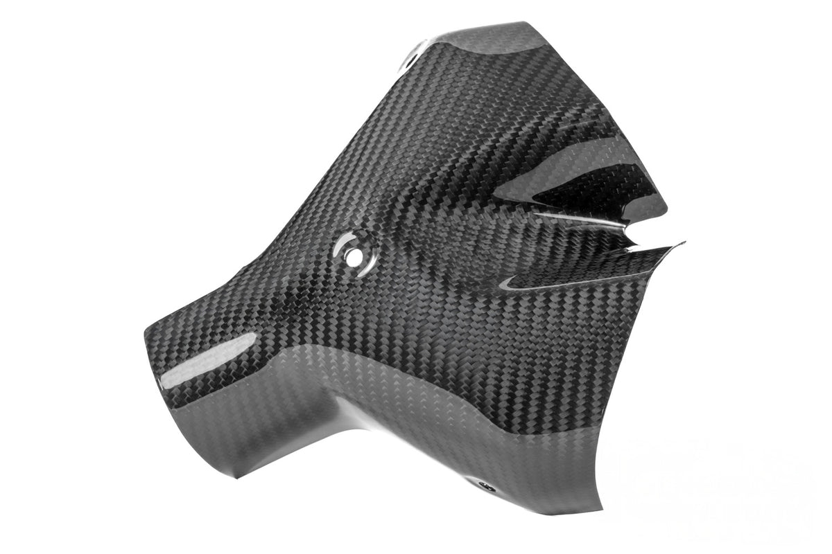 Ilmberger Exhaust heat shield (Front) R 1300 R + RS - Carbon