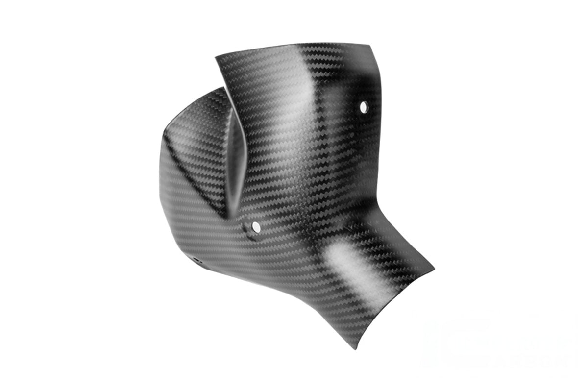 Ilmberger Exhaust heat shield (Front) R 1300 R + RS - Carbon
