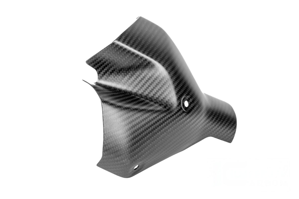 Ilmberger Exhaust heat shield (Front) R 1300 R + RS - Carbon