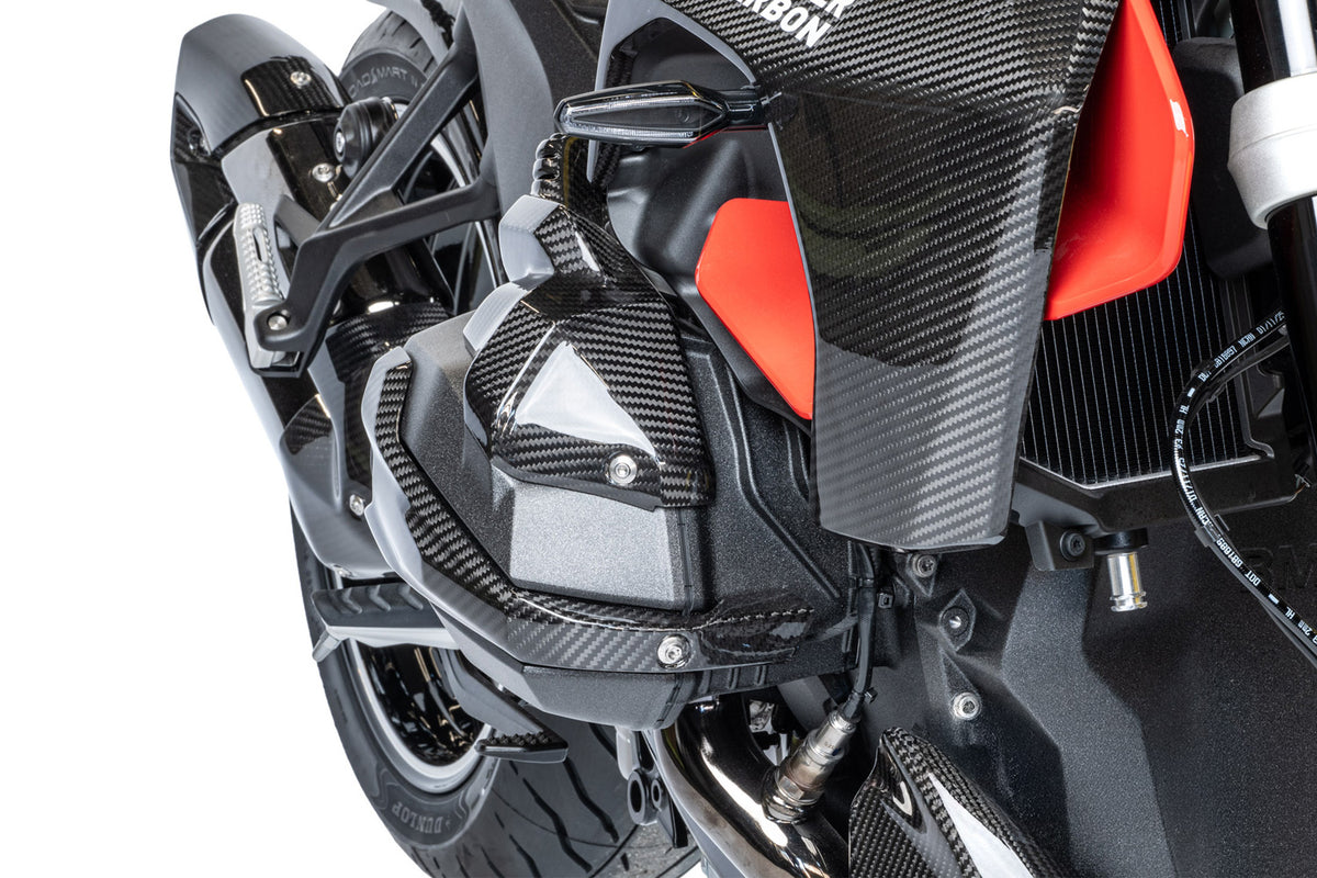 Ilmberger Fuel injector cover (Right) R 1300 R + RS - Carbon