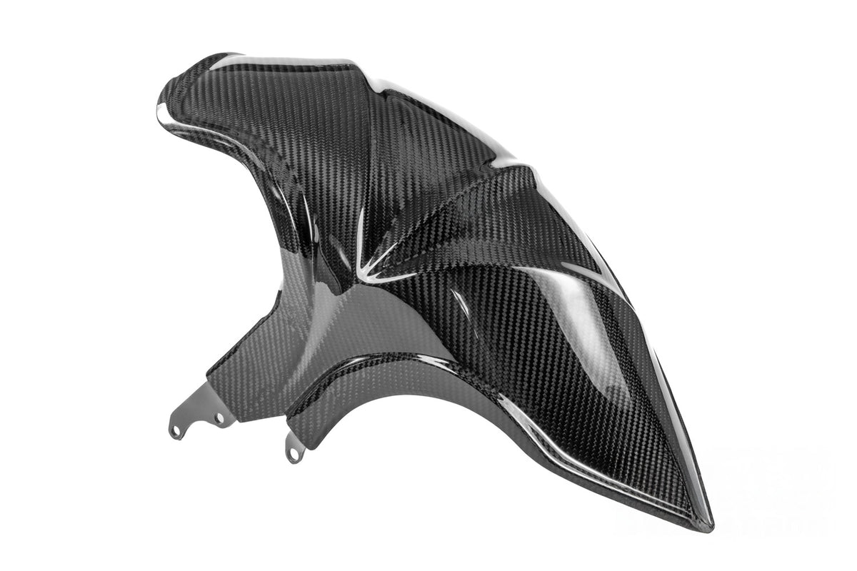Ilmberger Fender (Rear) R 1300 R + RS - Carbon
