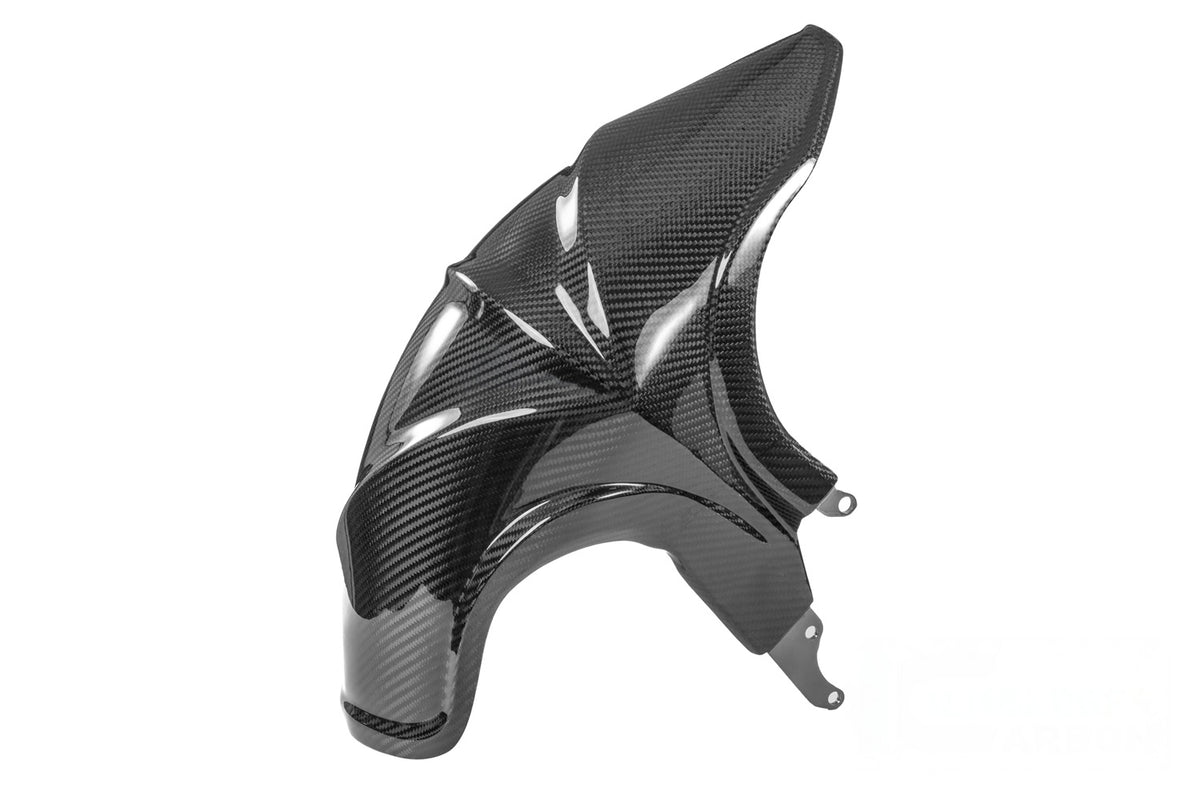 Ilmberger Fender (Rear) R 1300 R + RS - Carbon