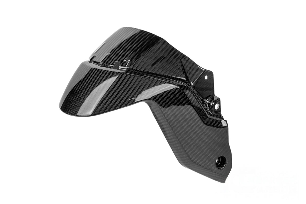 Ilmberger Mudguard (Front) R 1300 R + RS - Carbon