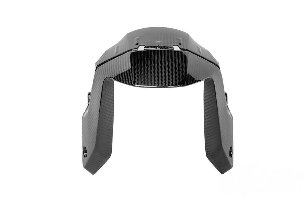 Ilmberger Mudguard (Front) R 1300 R + RS - Carbon