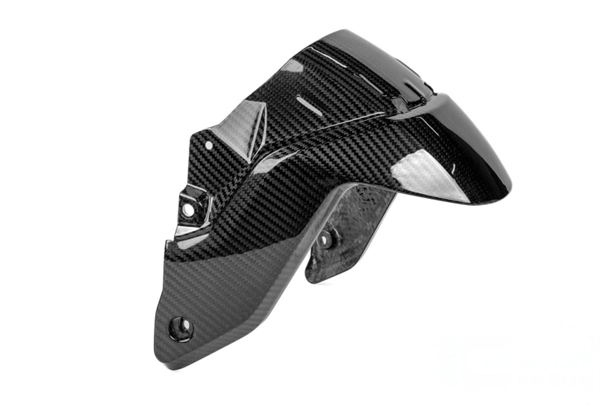 Ilmberger Mudguard (Front) R 1300 R + RS - Carbon