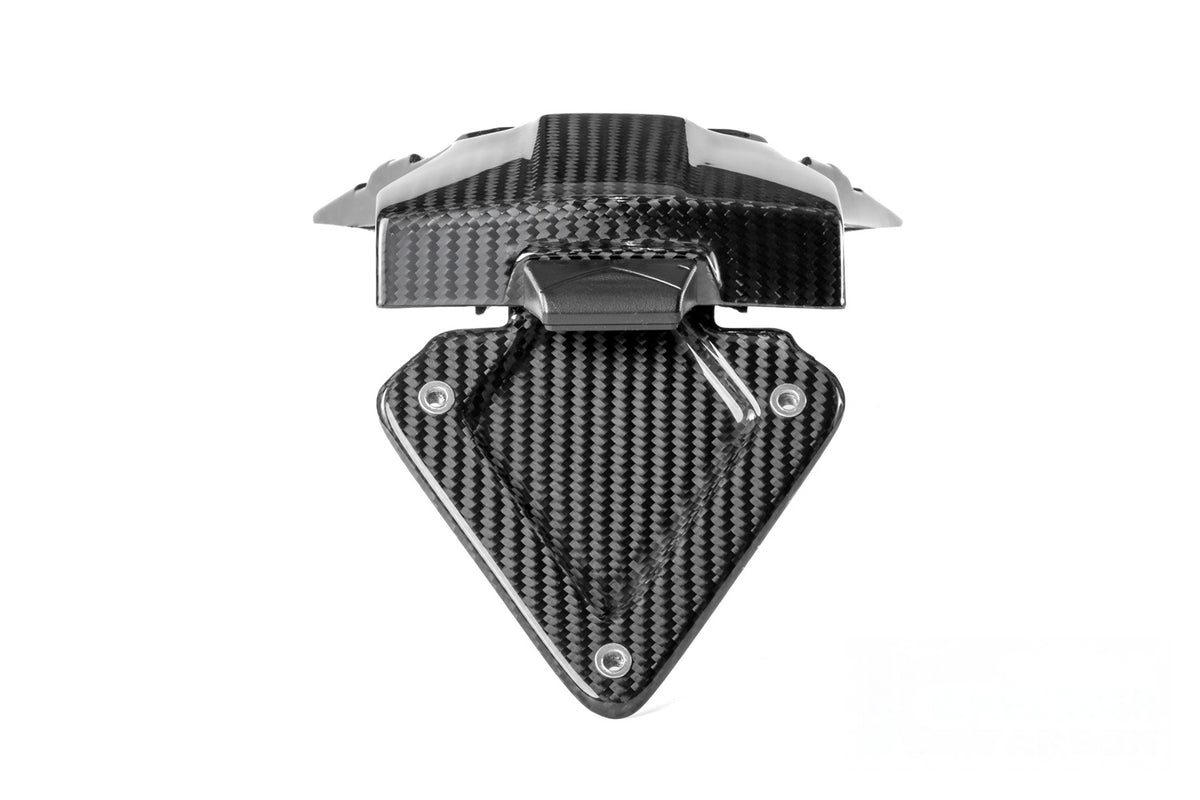 Ilmberger Licence plate holder R 1300 R + RS - Carbon