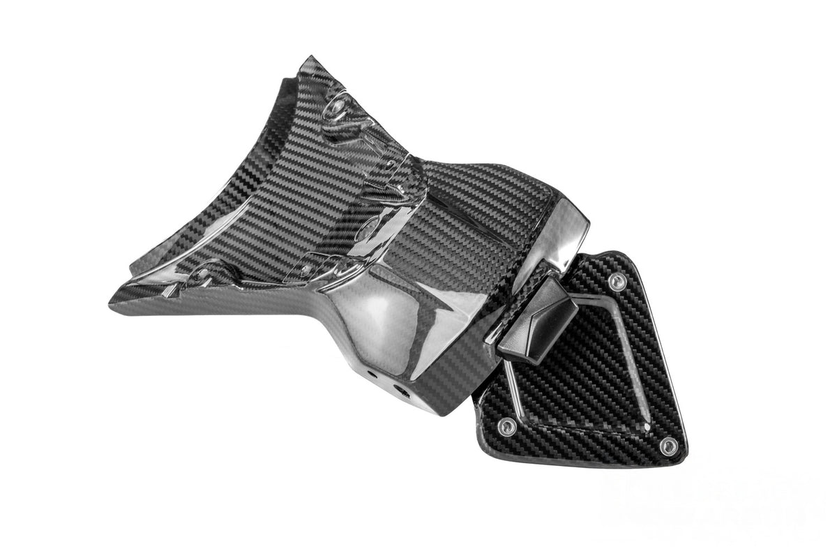 Ilmberger Licence plate holder R 1300 R + RS - Carbon