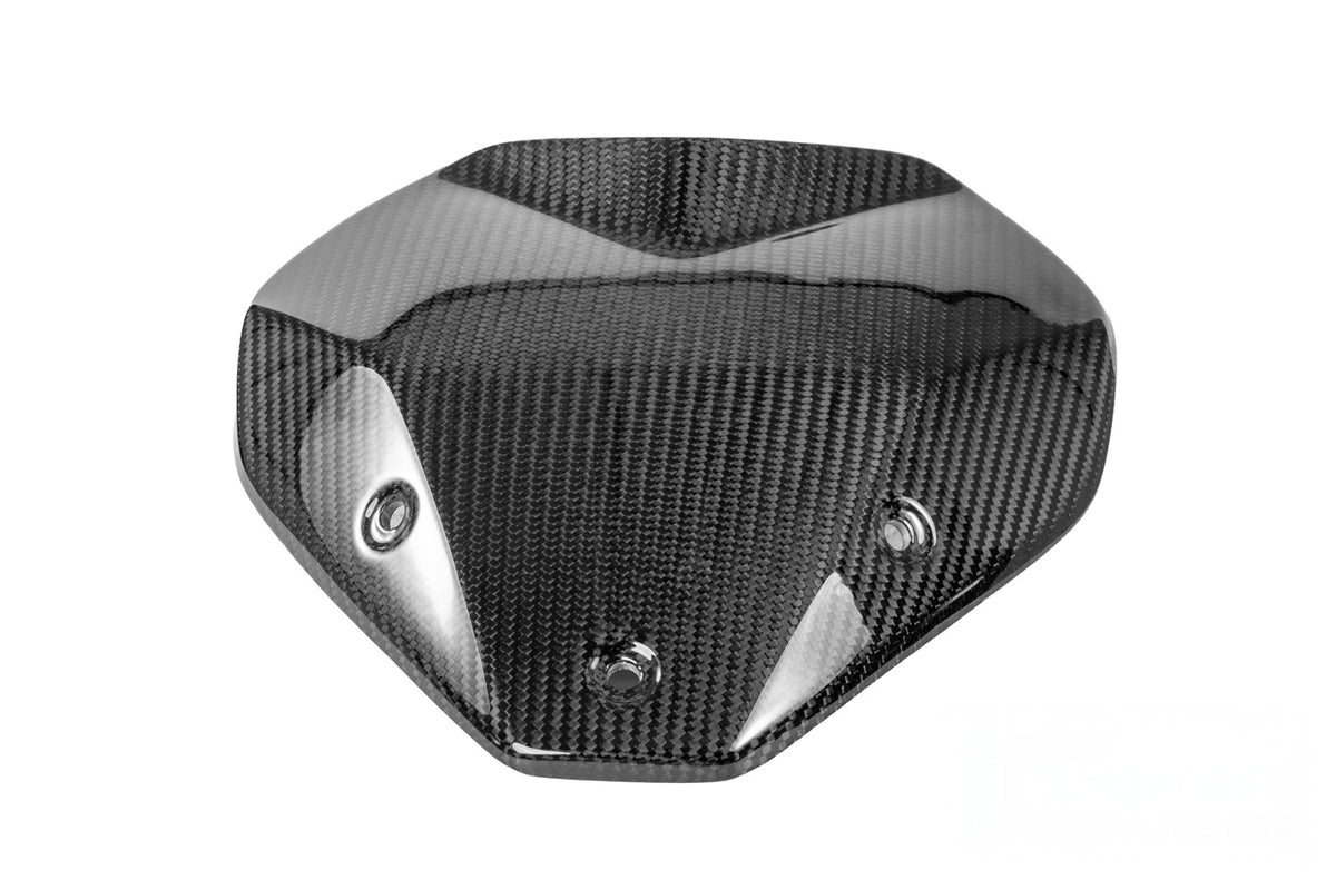 Ilmberger Windscreen with mount R 1300 R - Carbon