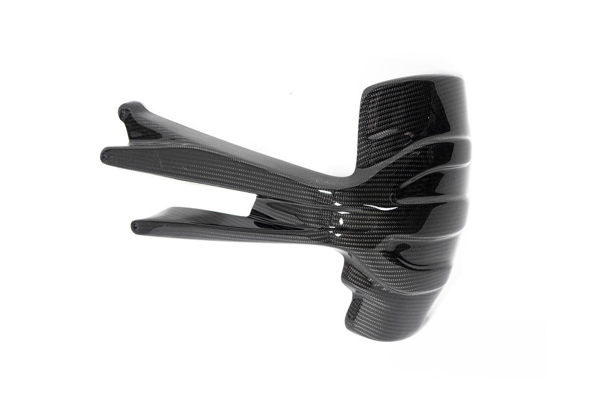 Ilmberger Splash guard (Rear) R 1250 GS - Carbon