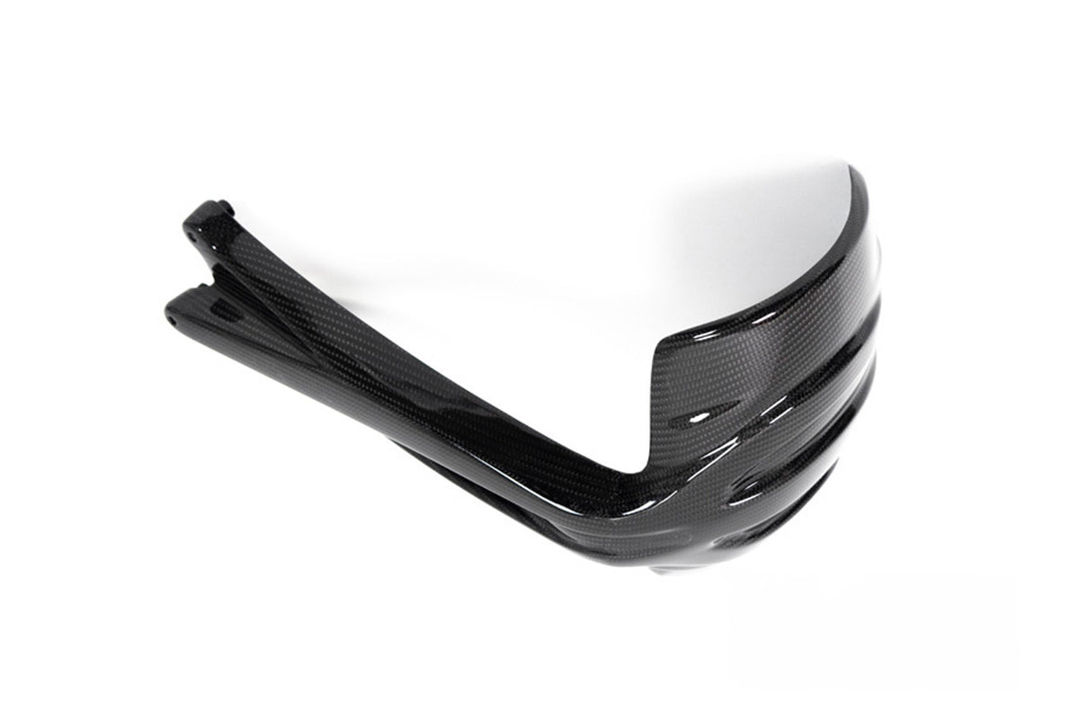 Ilmberger Splash guard (Rear) R 1250 GS - Carbon
