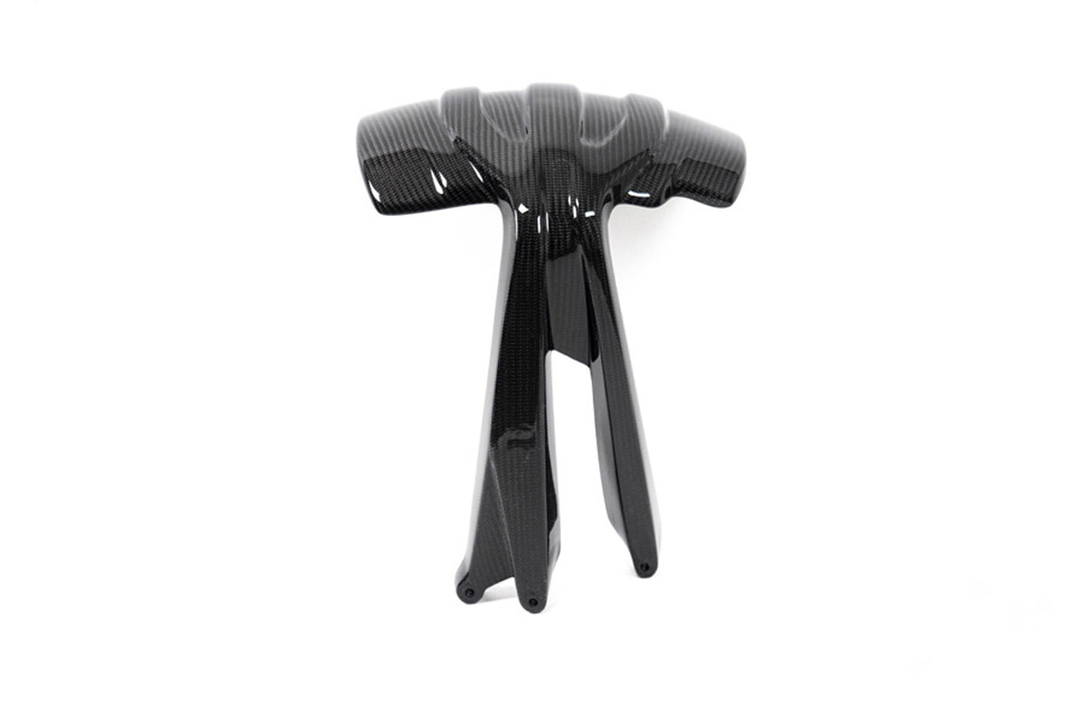 Ilmberger Splash guard (Rear) R 1250 GS - Carbon