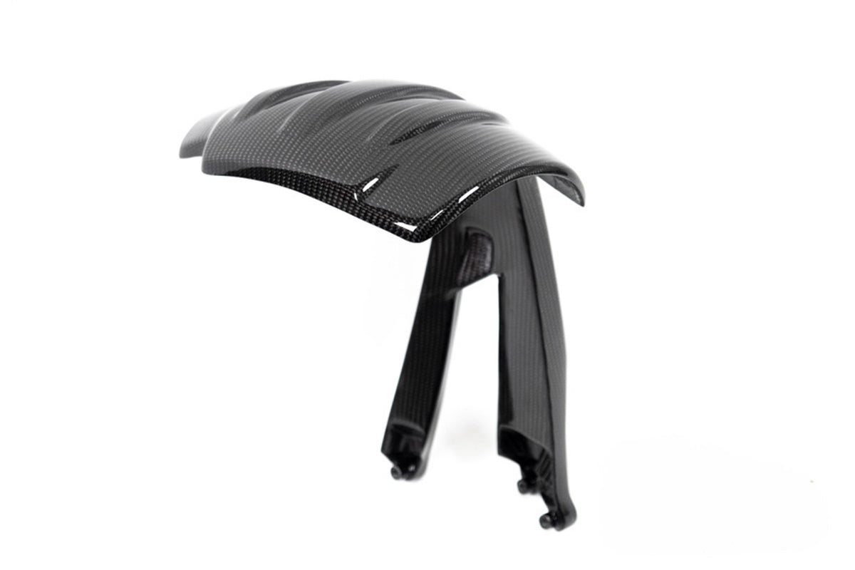 Ilmberger Splash guard (Rear) R 1250 GS - Carbon