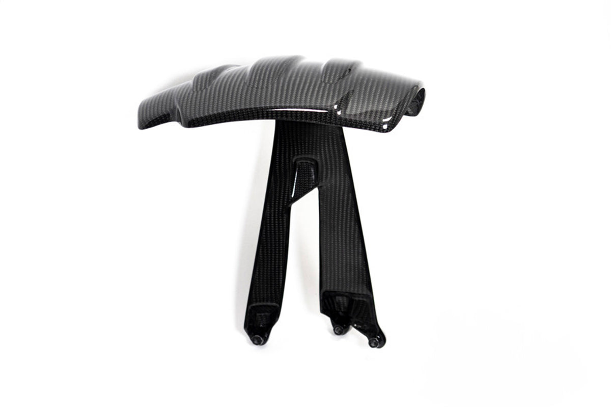Ilmberger Splash guard (Rear) R 1250 GS - Carbon