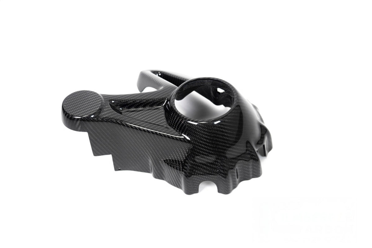 Ilmberger Kardan housing cover (Mounting with splash guard) R 1250 GS + Adventure - Carbon