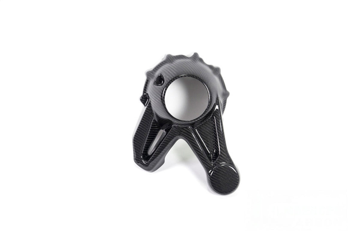 Ilmberger Kardan housing cover (Mounting without splash guard) R 1250 GS + Adventure - Carbon