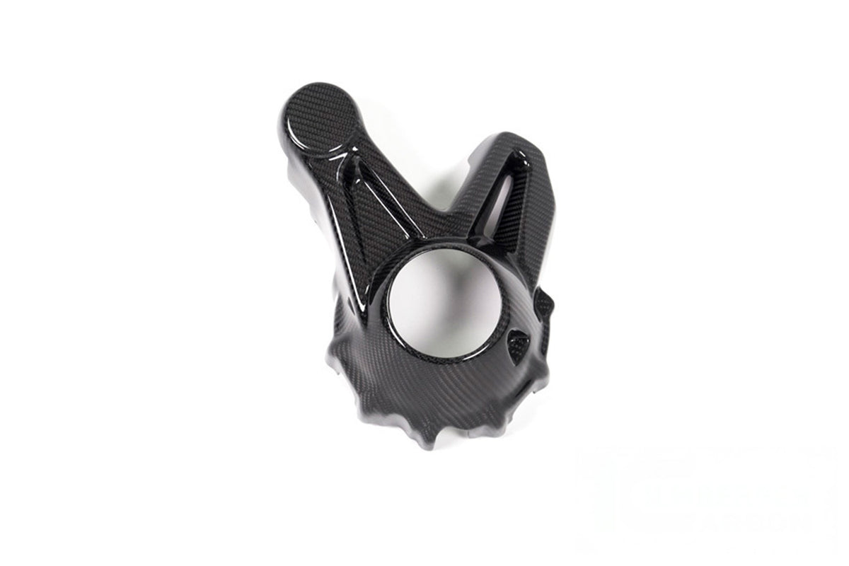 Ilmberger Kardan housing cover (Mounting without splash guard) R 1250 GS + Adventure - Carbon