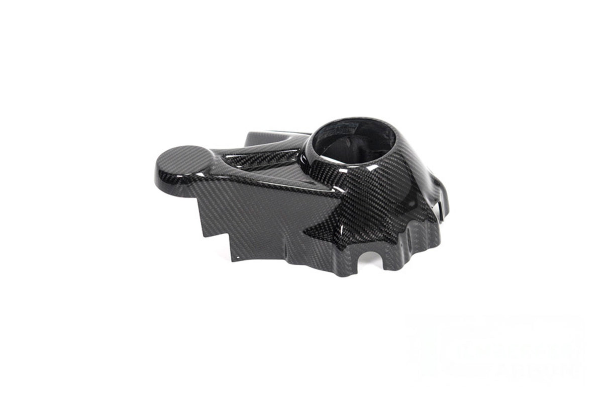 Ilmberger Kardan housing cover (Mounting without splash guard) R 1250 GS + Adventure - Carbon