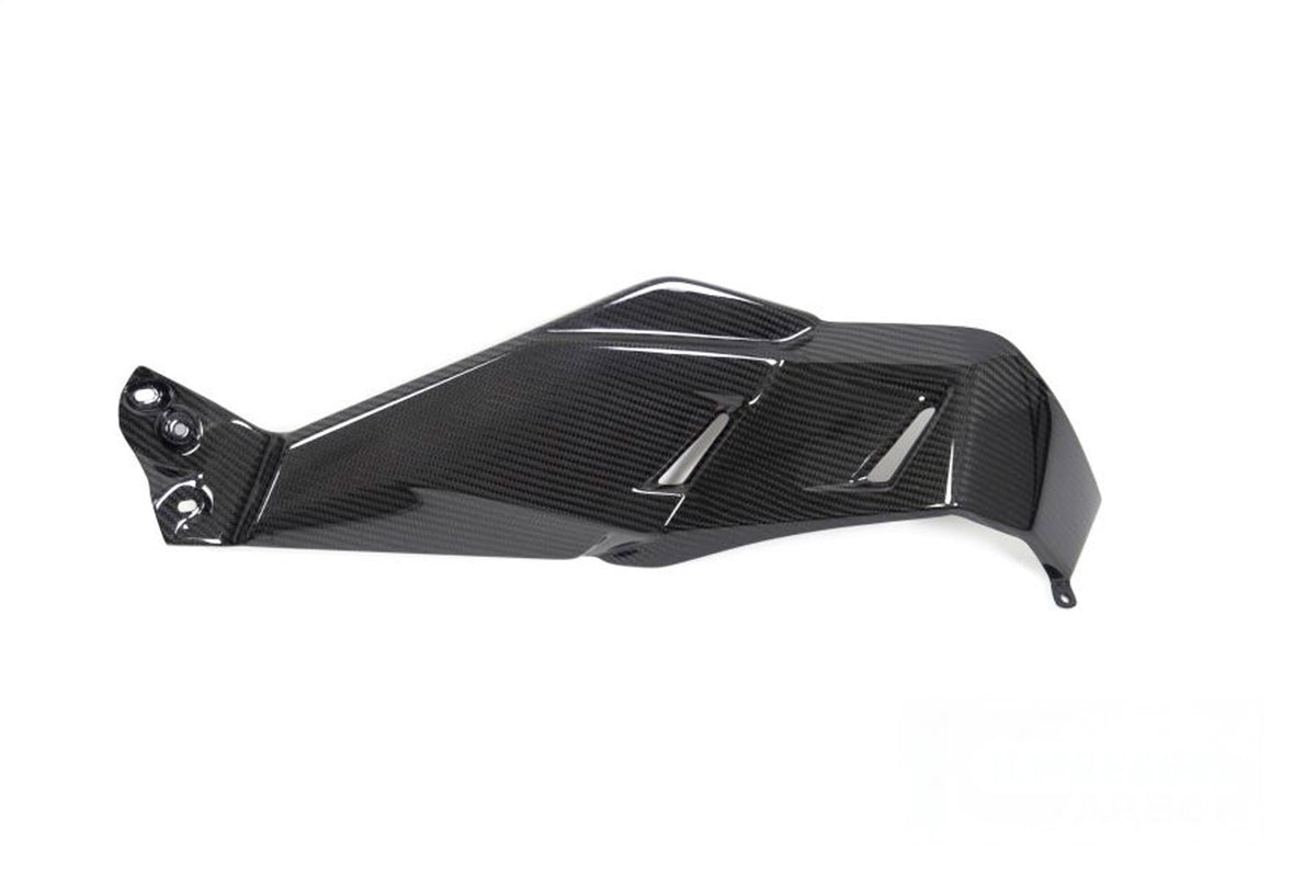 Ilmberger Tank cover (Bottom Right) R 1250 GS - Carbon