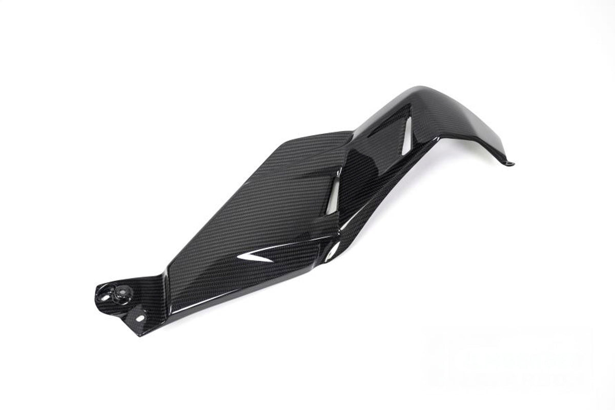Ilmberger Tank cover (Bottom Right) R 1250 GS - Carbon