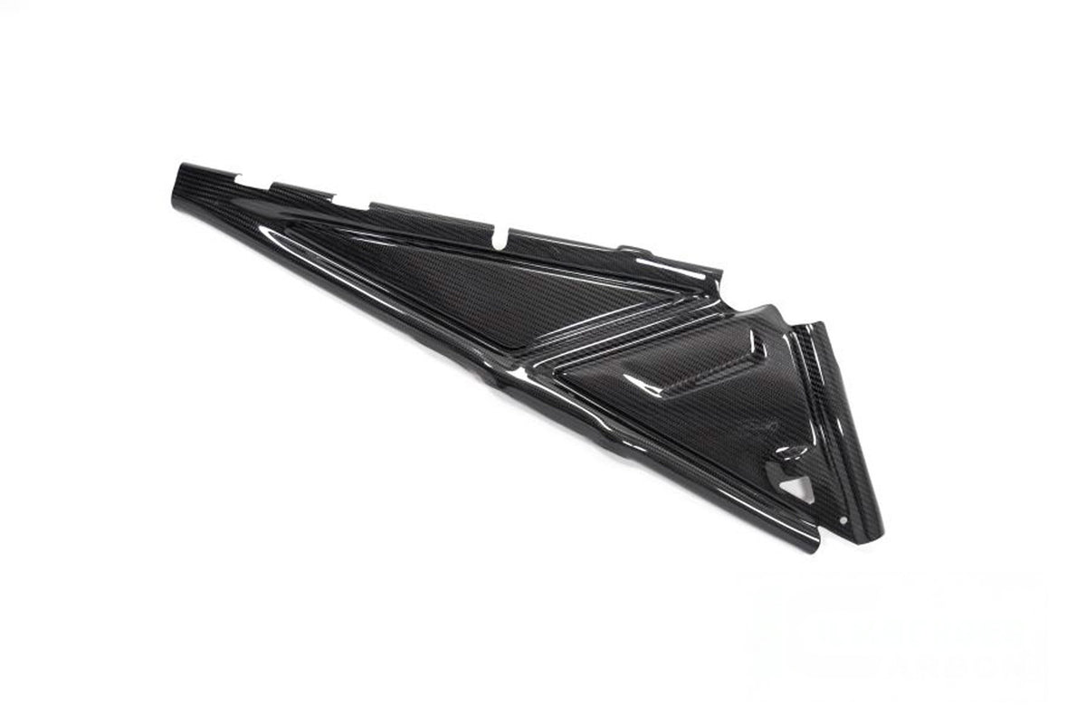 Ilmberger Rear frame cover (Right) R 1250 GS + Adventure - Carbon