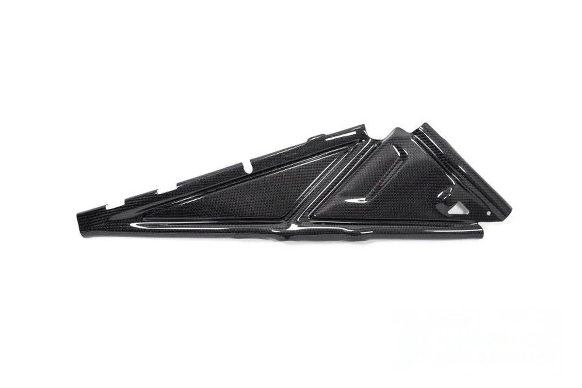 Ilmberger Rear frame cover (Right) R 1250 GS + Adventure - Carbon