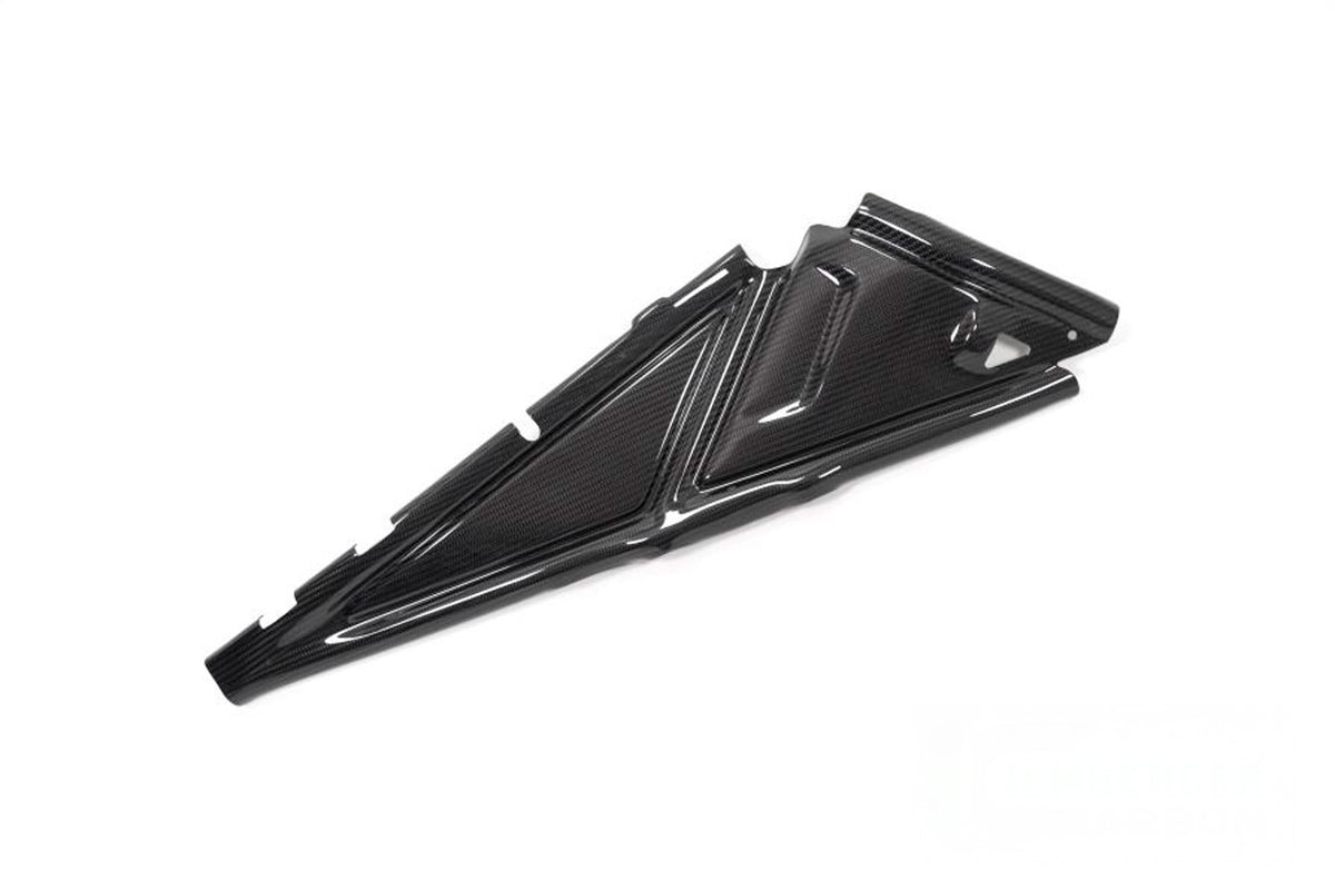 Ilmberger Rear frame cover (Right) R 1250 GS + Adventure - Carbon
