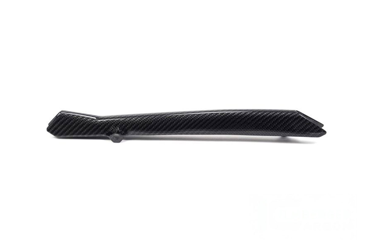 Ilmberger Brake line cover R 1250 GS + Adventure - Carbon