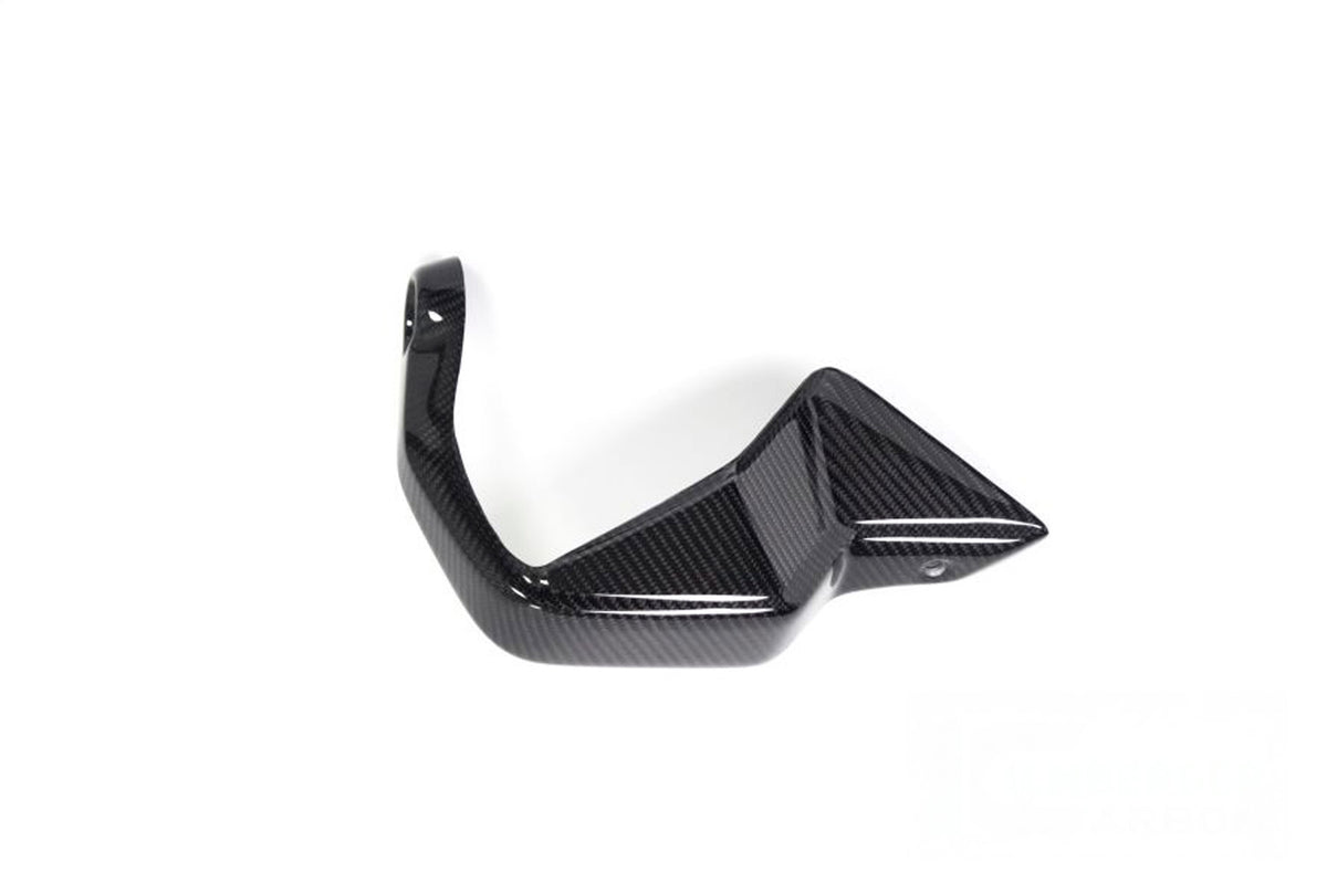 Ilmberger Hand protector (Right) R 1250 GS - Carbon