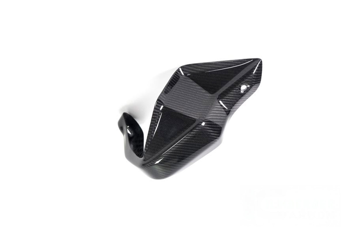 Ilmberger Hand protector (Right) R 1250 GS - Carbon