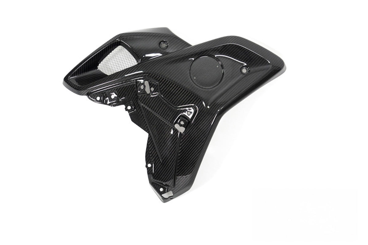 Ilmberger Wind Tunnel (Left) R 1250 GS - Carbon