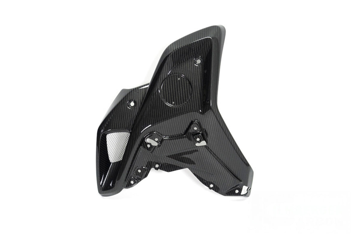 Ilmberger Wind Tunnel (Left) R 1250 GS - Carbon