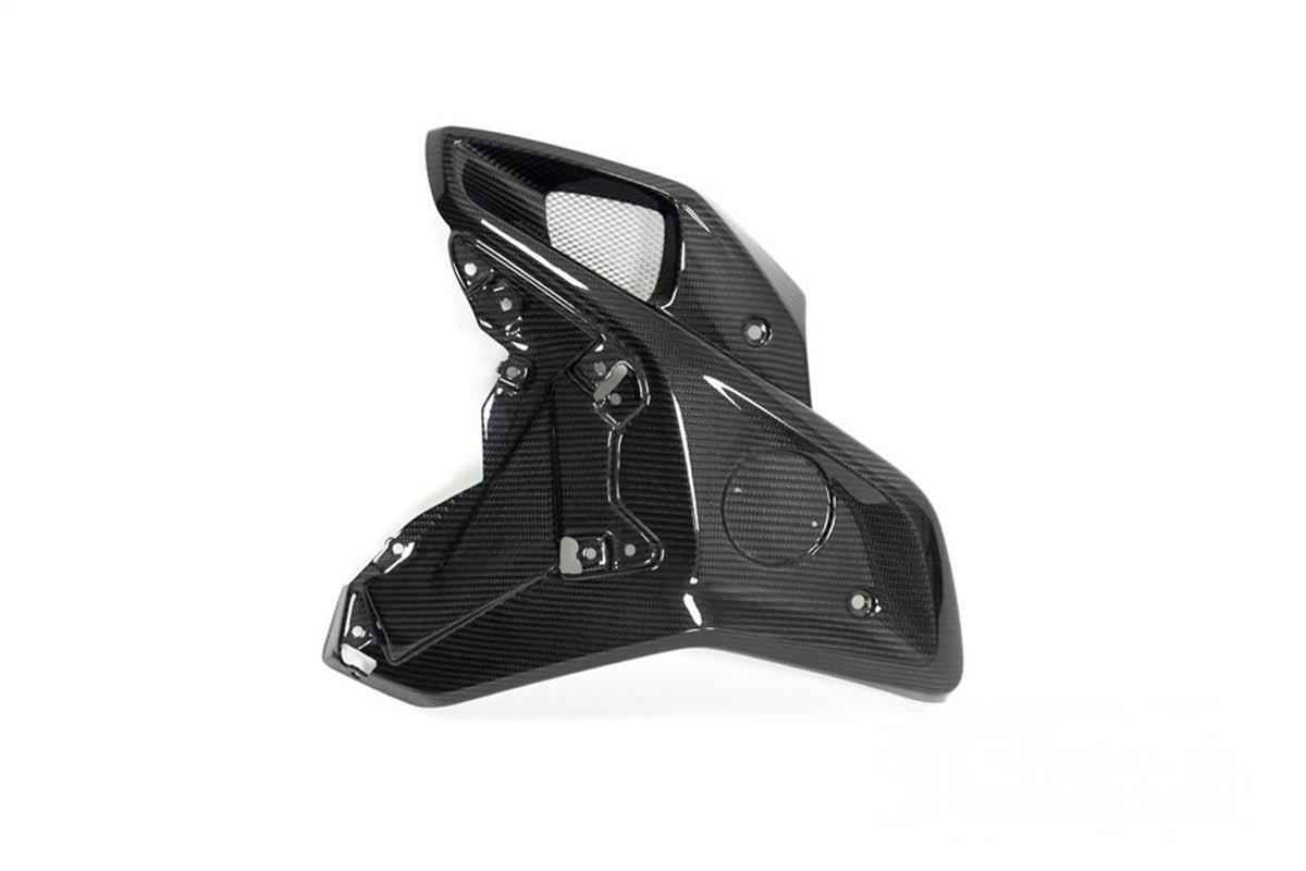 Ilmberger Wind Tunnel (Left) R 1250 GS - Carbon