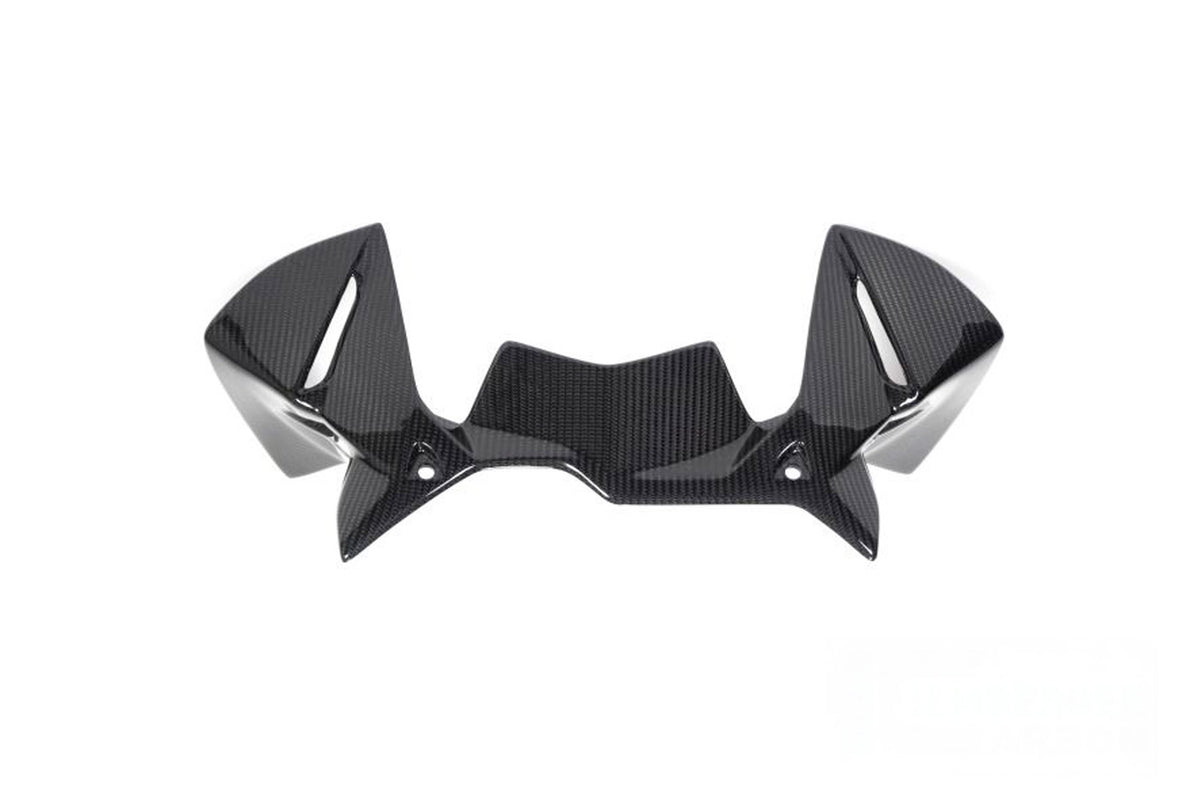 Ilmberger Windprotector instruments R 1250 GS - Carbon
