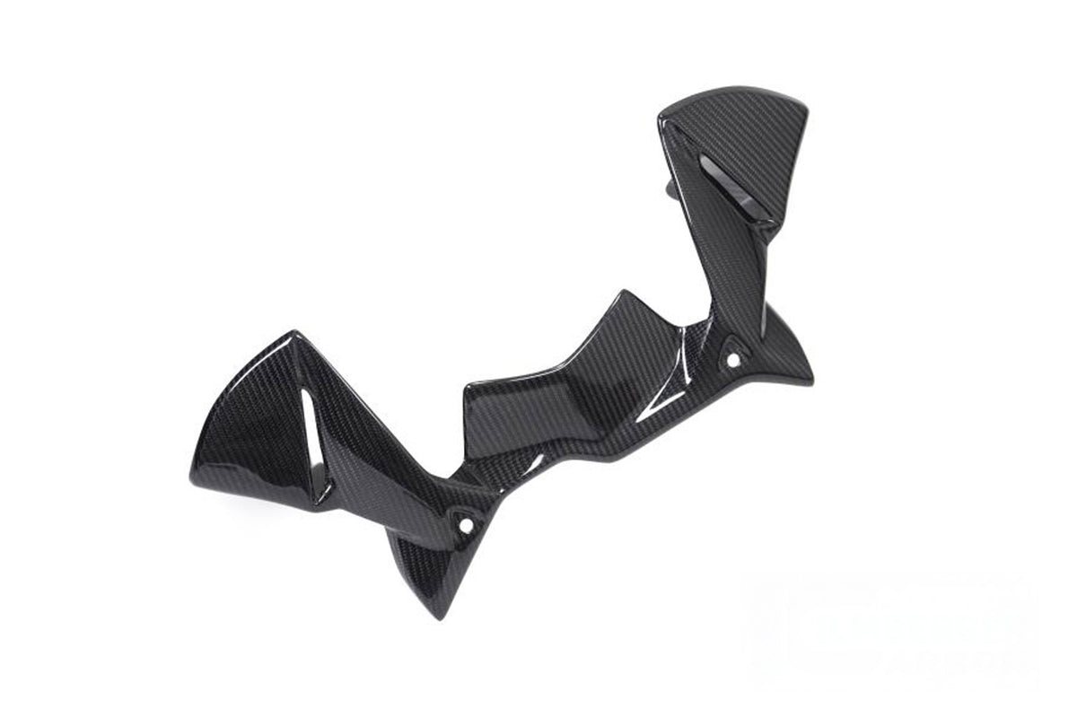 Ilmberger Windprotector instruments R 1250 GS - Carbon