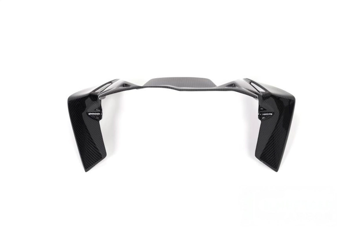 Ilmberger Windprotector instruments R 1250 GS - Carbon