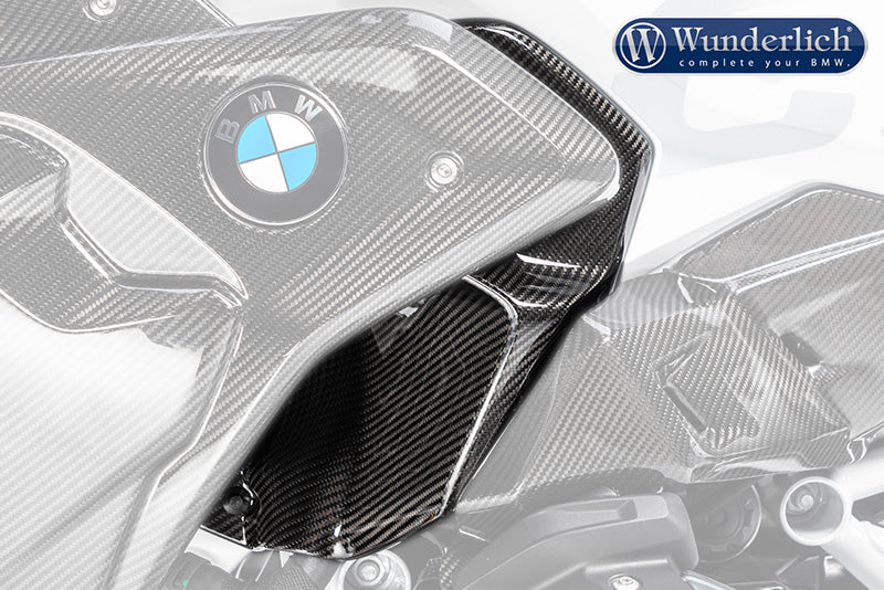 Ilmberger Air outlet cladding (Left) R 1250 GS - Carbon