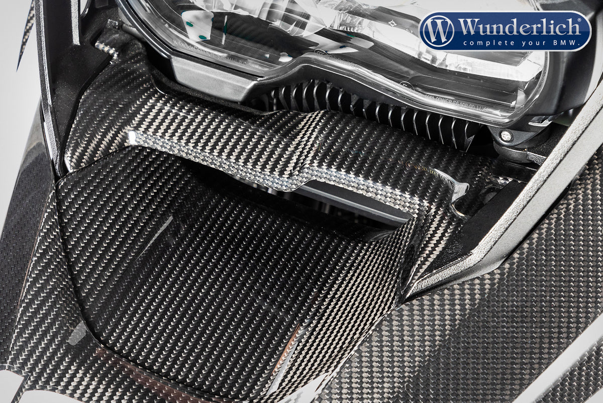Ilmberger Airflow beneath oil cooler R 1250 GS - Carbon