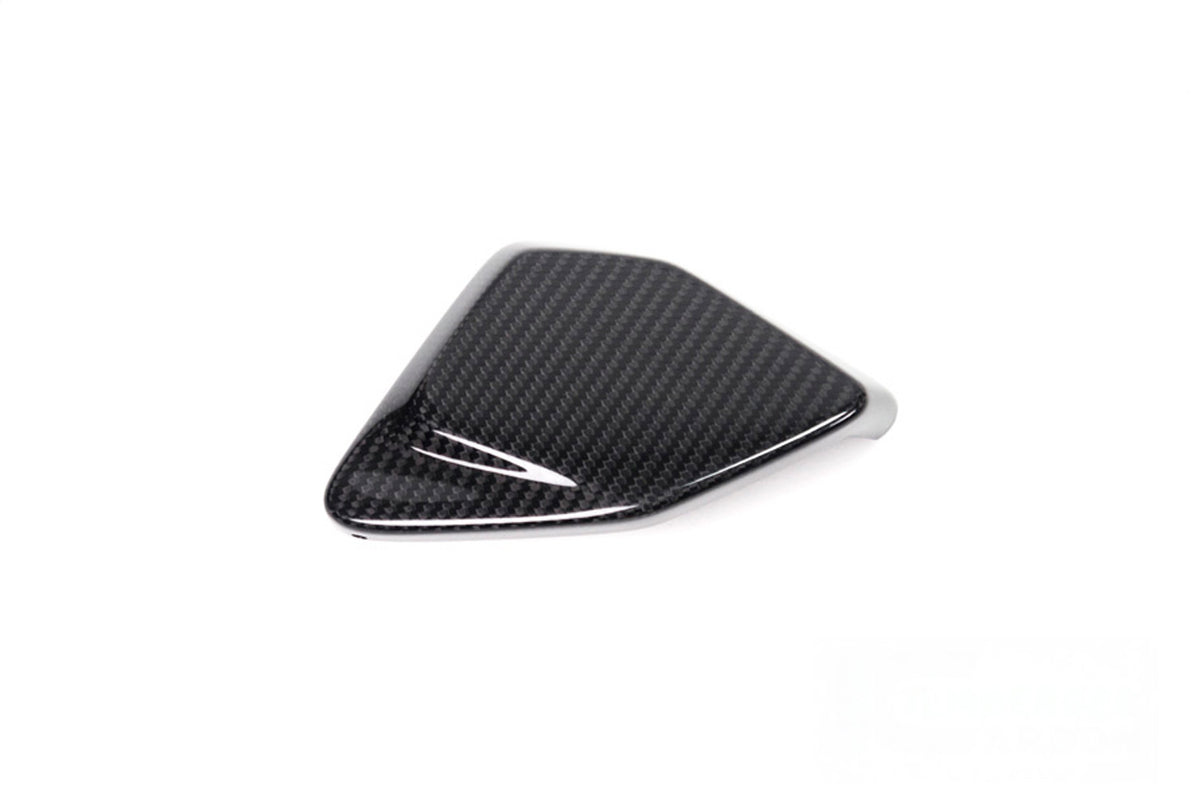 Ilmberger ESA Box cover R 1250 GS - Carbon