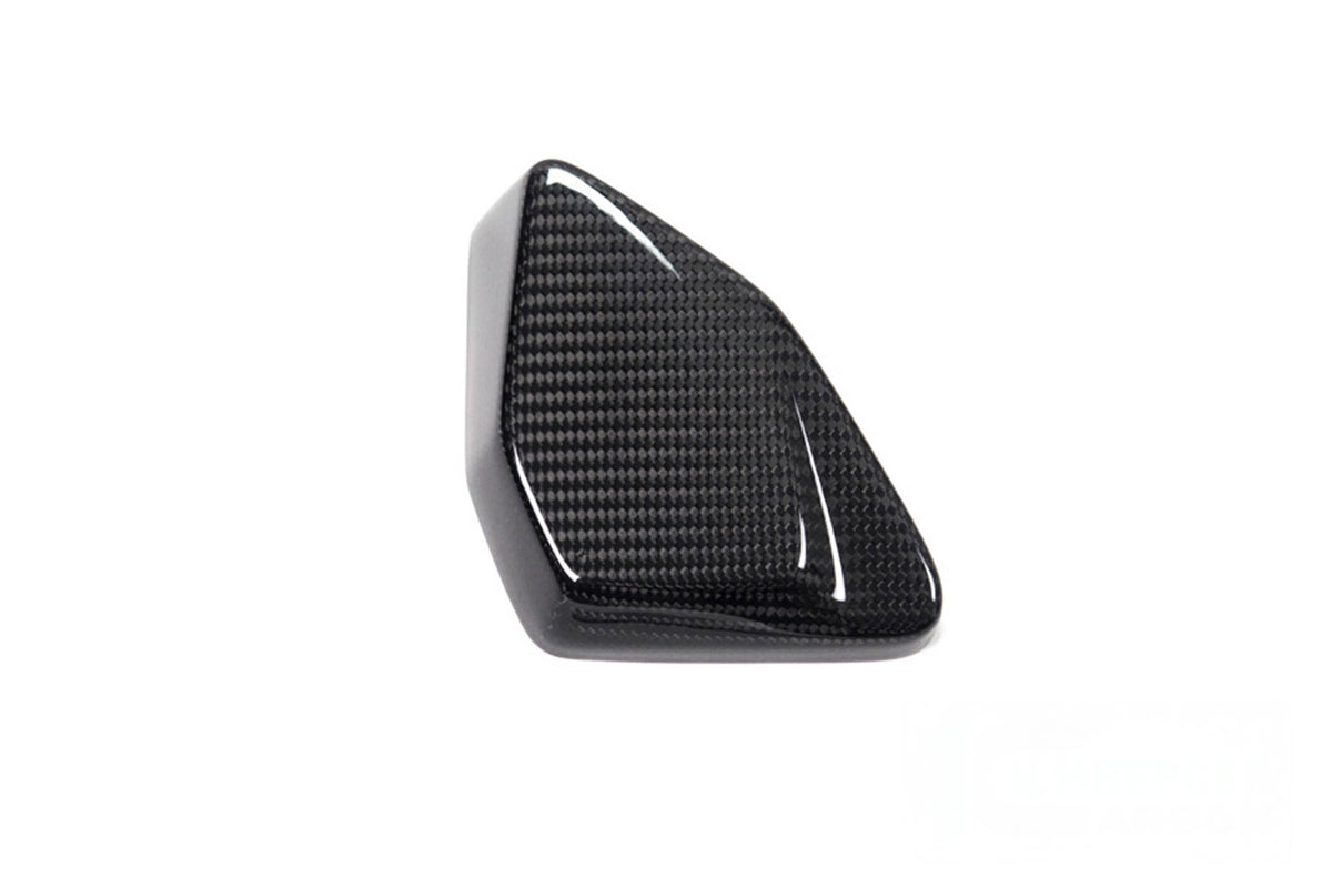 Ilmberger ESA Box cover R 1250 GS - Carbon