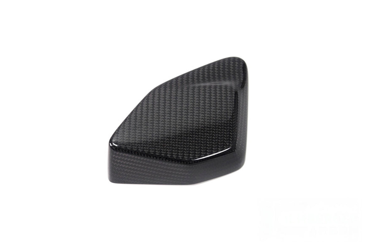 Ilmberger ESA Box cover R 1250 GS - Carbon
