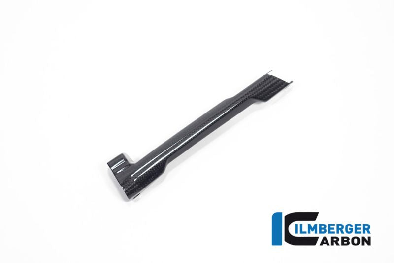Ilmberger Brake line cover R 1300 GS + Adventure - carbon image 2