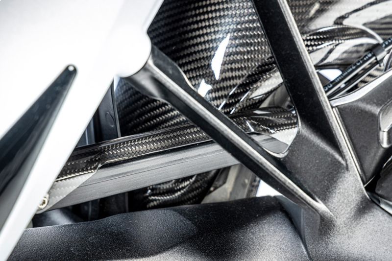 Ilmberger Brake line cover R 1300 GS + Adventure - carbon image 0