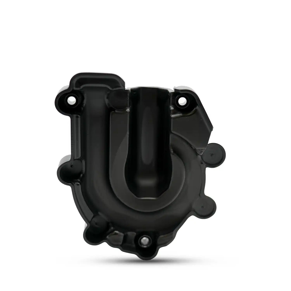 R&G Race Series Engine Case Cover (RHS - Waterpump) - F 900 R / F 900 XR / F 900 GS
