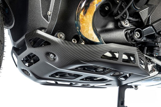 Ilmberger lower motor protection R 1300 GS (Adventure) - carbon image 0
