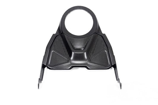 Ilmberger Upper tank cover R 1300 GS - carbon image 0